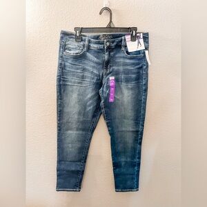 Arizona Blue Denim Jeans